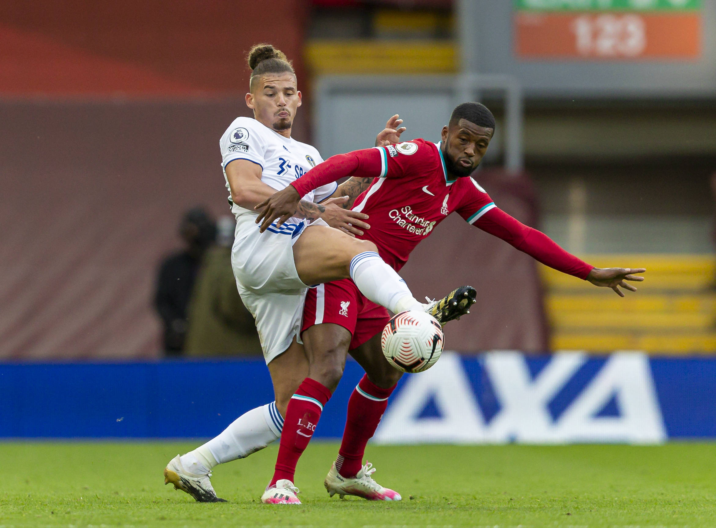 看重两翼的 看重两翼的