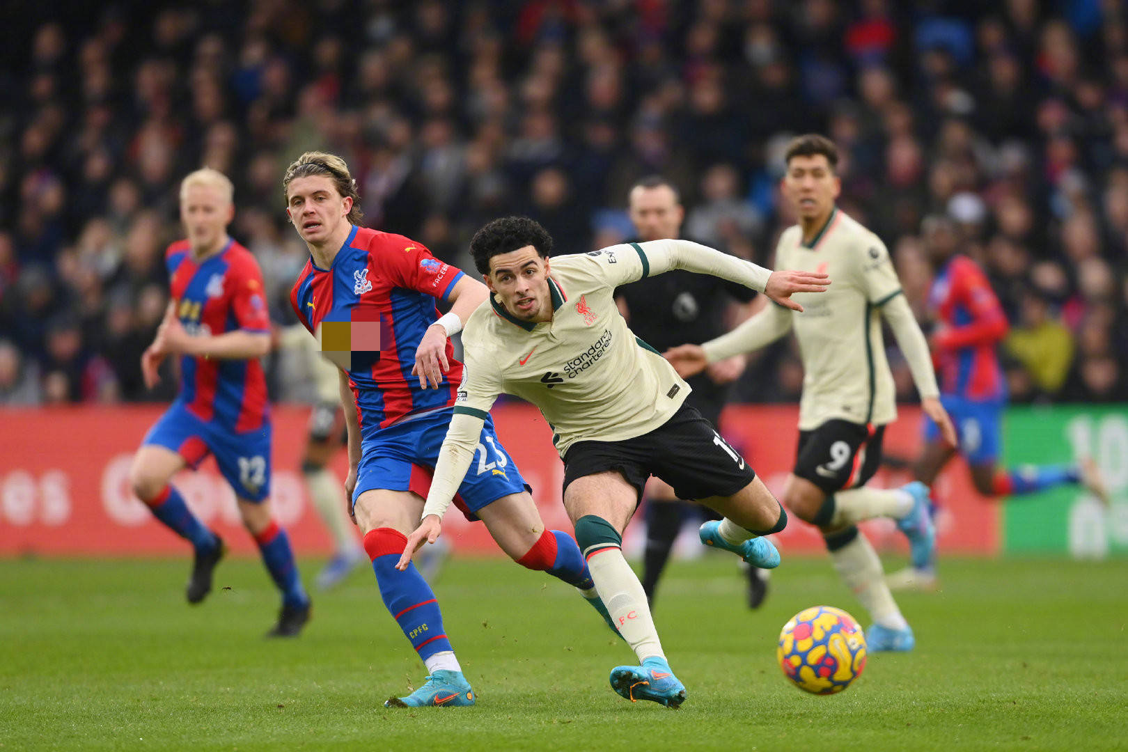 应对能力 应对能力