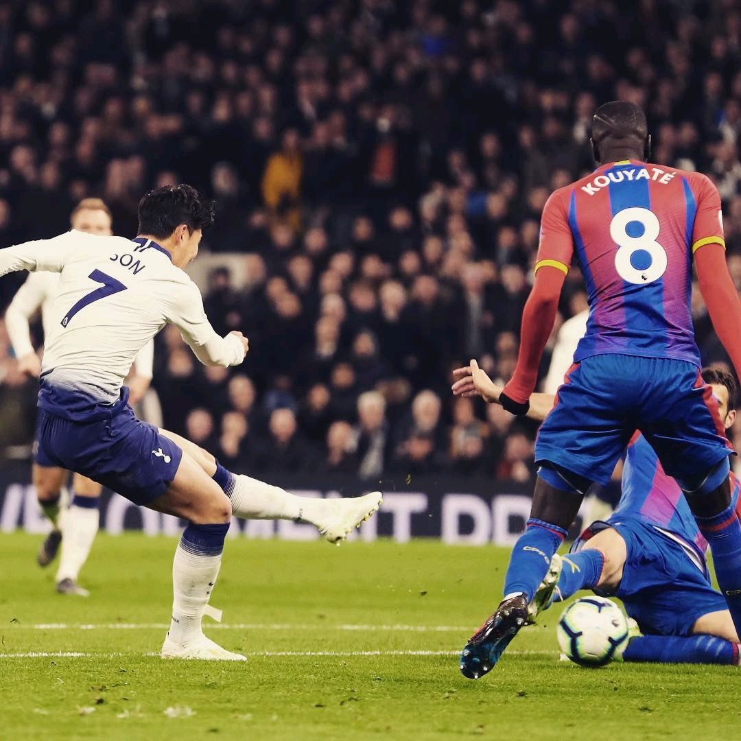 关注使维拉 关注使维拉